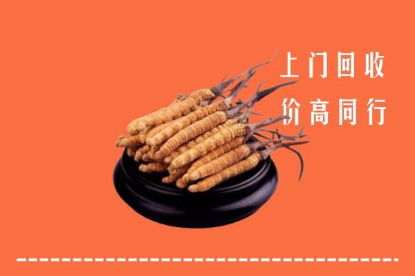 高价求购：南京市六合回收散虫草