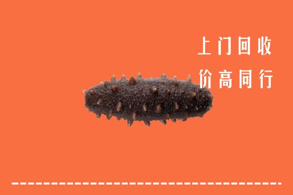 南京市六合回收海参