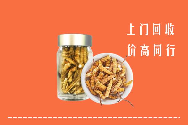 南京市六合回收冬虫夏草