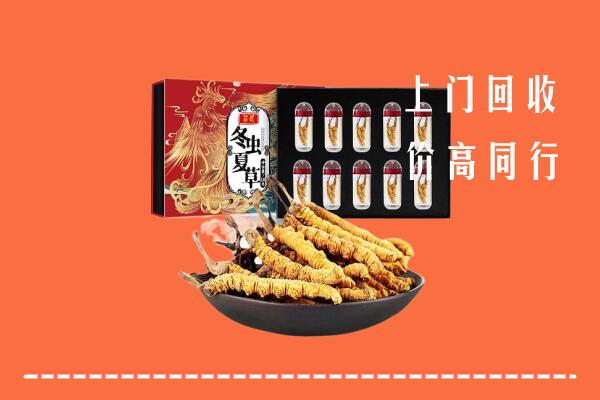 南京市六合回收虫草